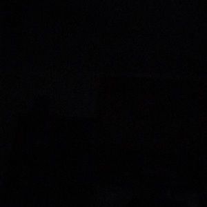 Meet your Posher, Billy